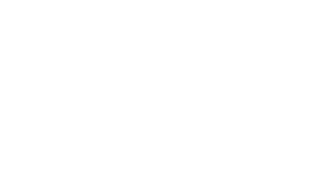 SLSA Logo